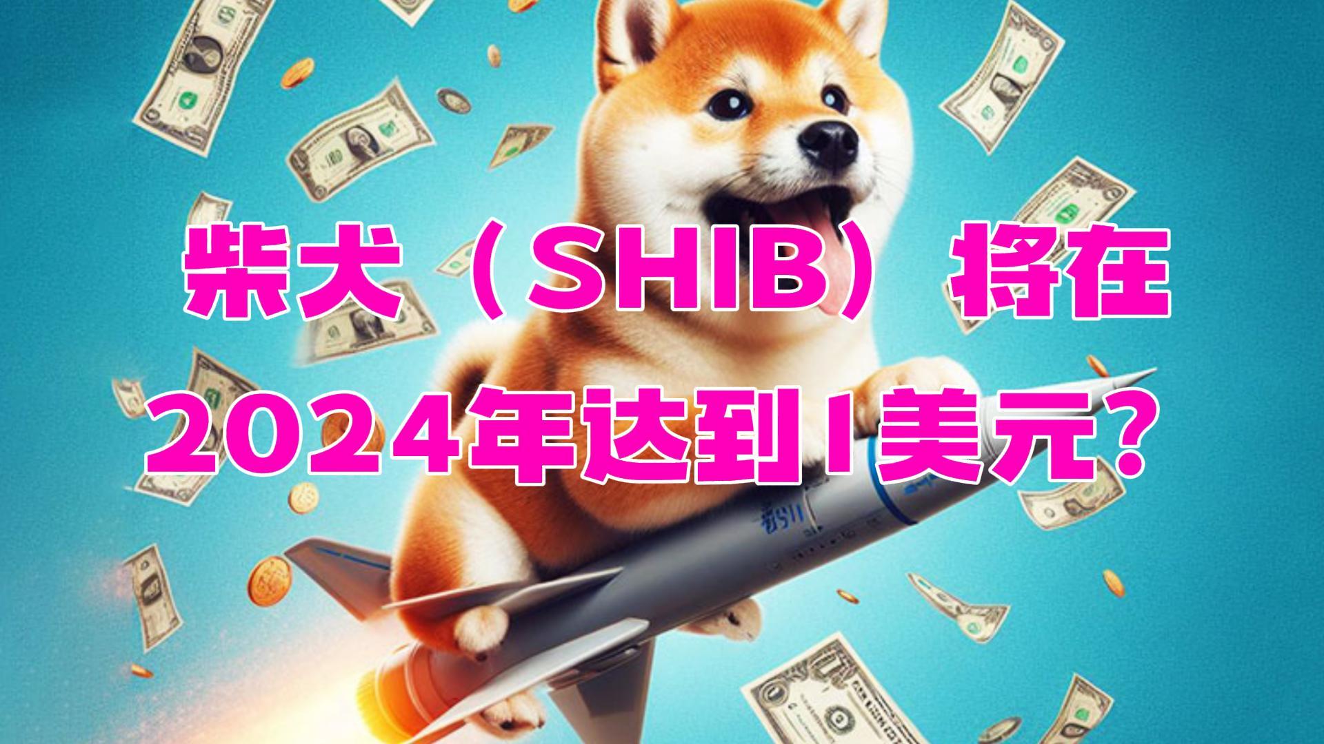 关于专家称SHIB将在年底冲破SOL美元，引发引发关注，引发热议的信息-九游体育