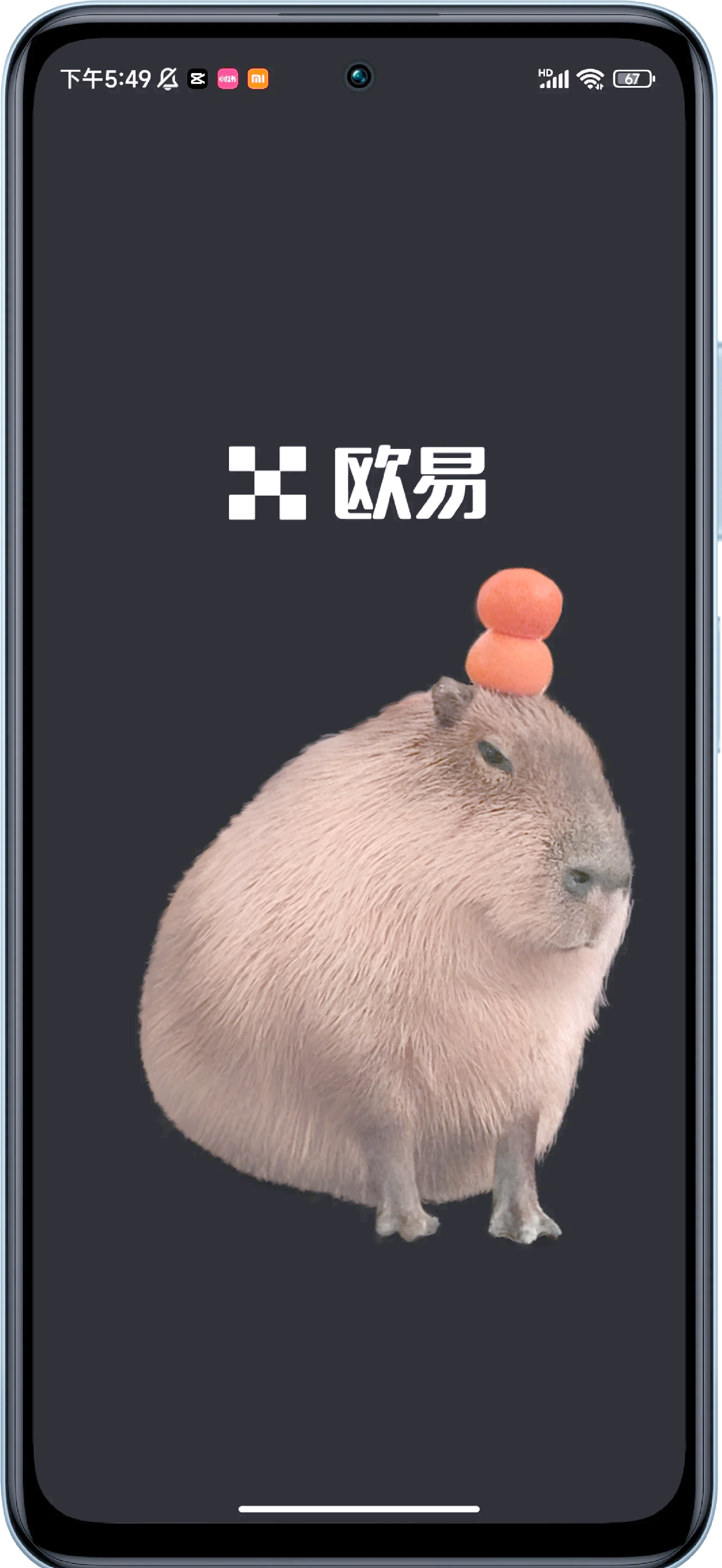 OKX突发安全漏洞，亏损多达XRP万美元